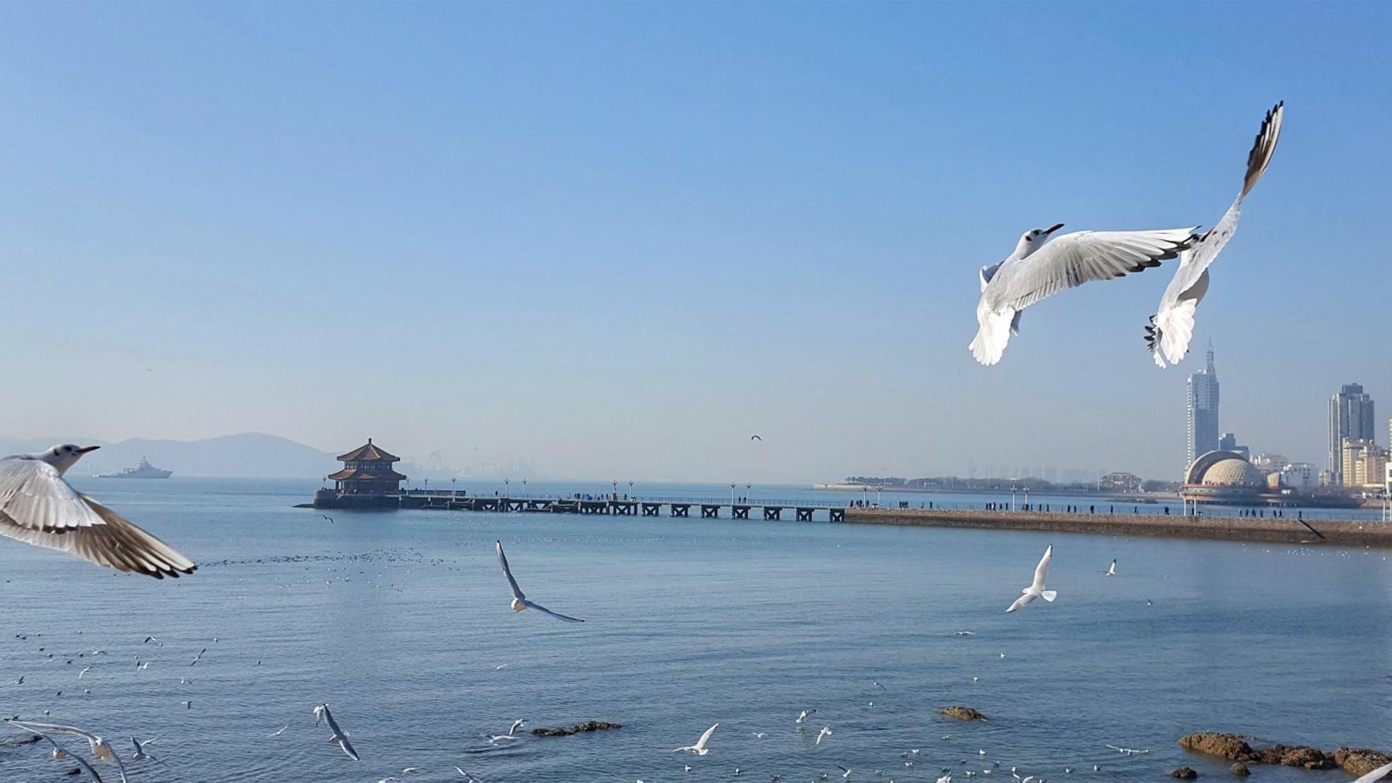 Intercontinental Qingdao By Ihg - Inside The Olympic Sailing Center Ξενοδοχείο Εξωτερικό φωτογραφία